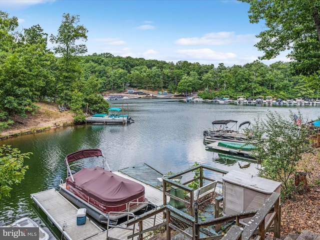 dock area featuring a water view