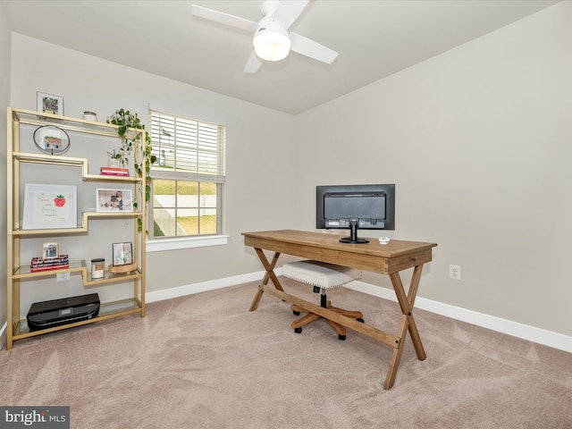 office space with ceiling fan and carpet flooring