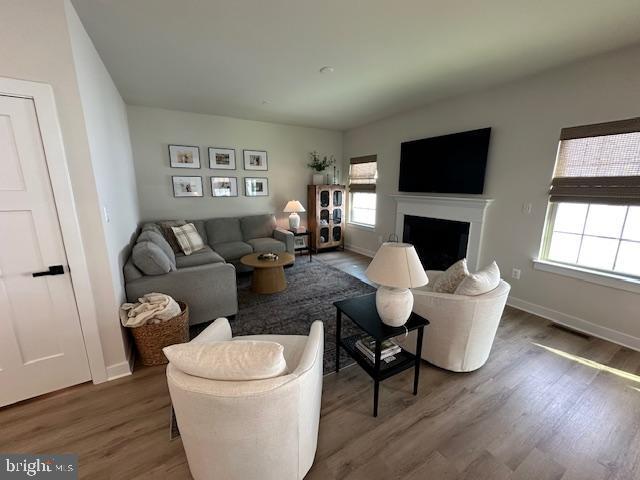 living room with dark hardwood / wood-style flooring