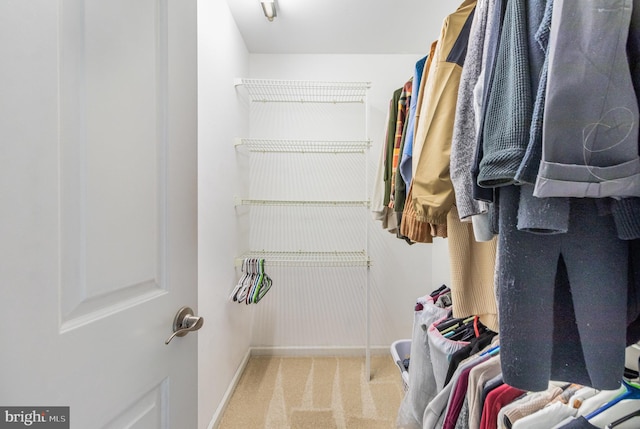 spacious closet featuring light colored carpet