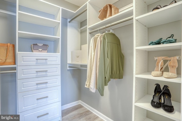 walk in closet with light wood-type flooring