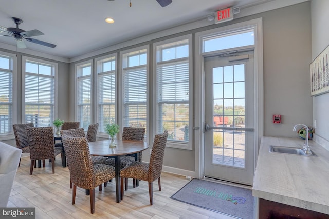 dining area featuring sink, light hardwood / wood-style flooring, and ceiling fan