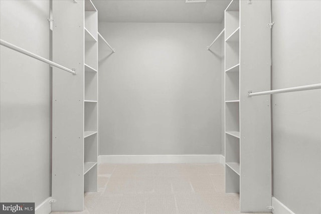 view of walk in closet