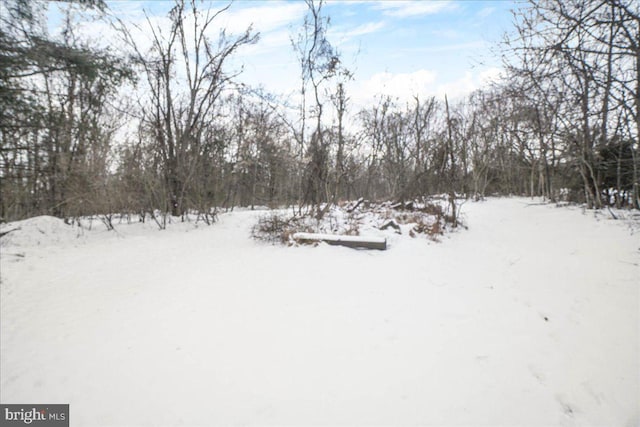 view of yard layered in snow