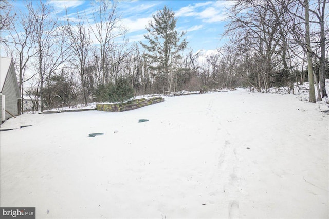 view of yard covered in snow