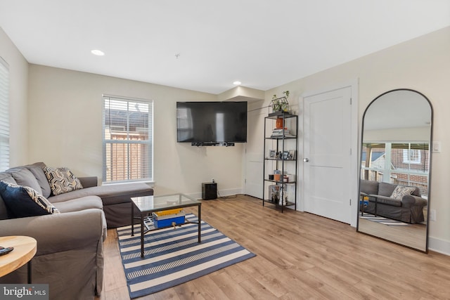 living room with light hardwood / wood-style flooring and a wealth of natural light