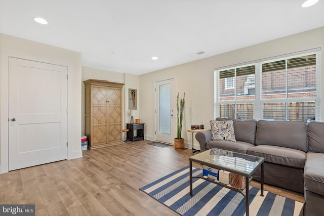 living room featuring light hardwood / wood-style floors