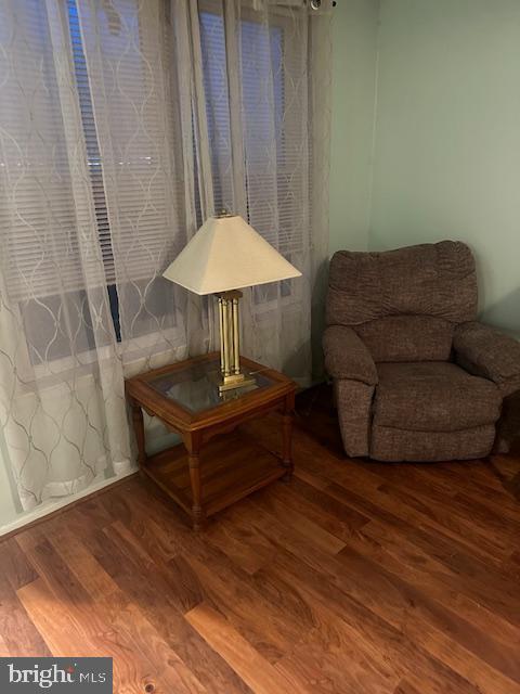 living area featuring wood-type flooring