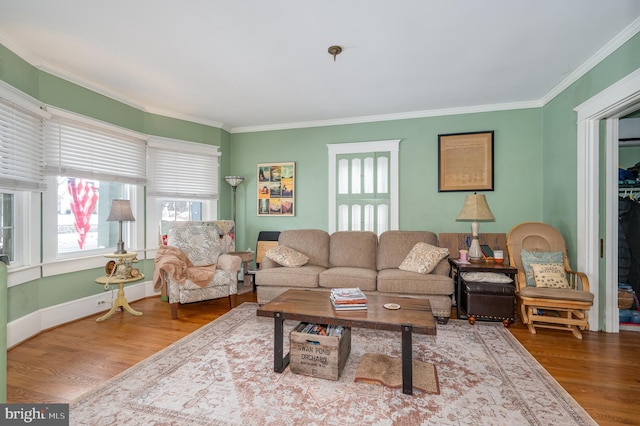 living room featuring hardwood / wood-style floors and crown molding