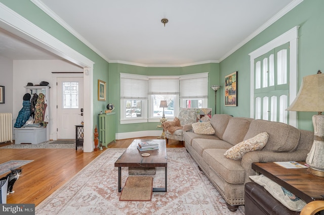 living room with crown molding, radiator heating unit, and light hardwood / wood-style flooring