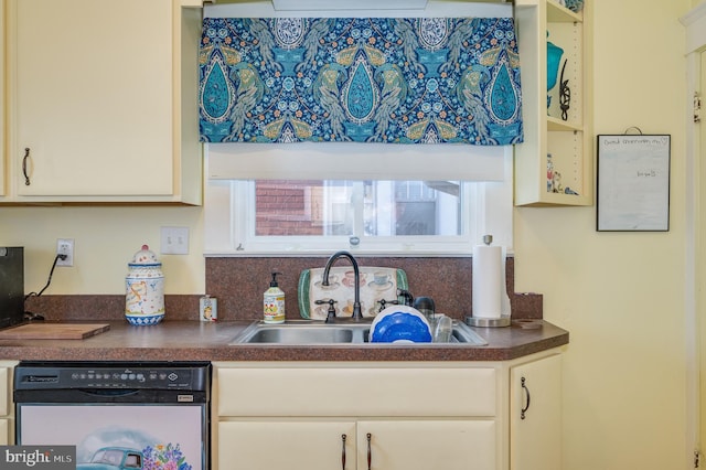 kitchen featuring black dishwasher and sink