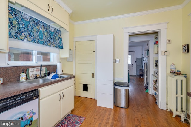 kitchen with sink, ornamental molding, stainless steel dishwasher, and light wood-type flooring