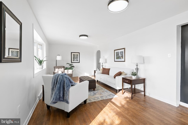 living room featuring hardwood / wood-style floors