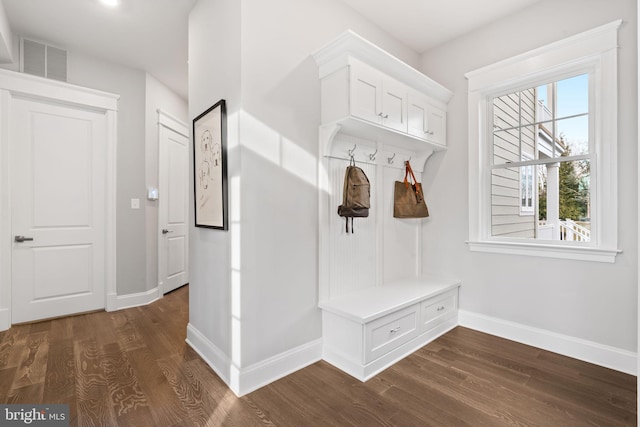 mudroom with dark wood-type flooring