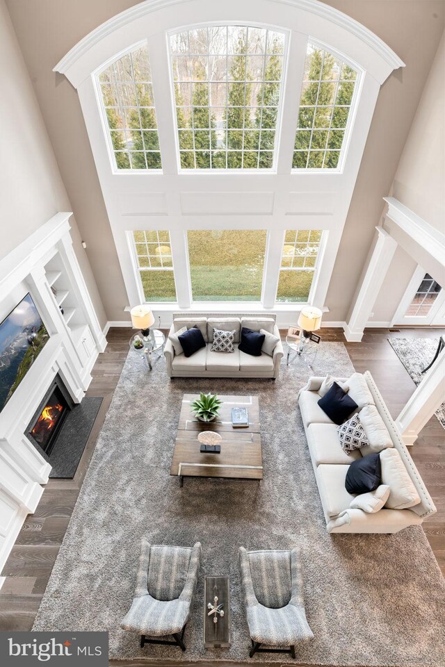 living room featuring a towering ceiling and dark hardwood / wood-style flooring