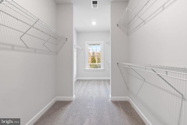 spacious closet with carpet flooring