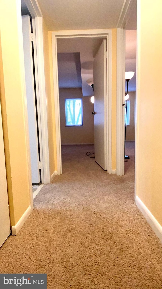 hallway with carpet flooring