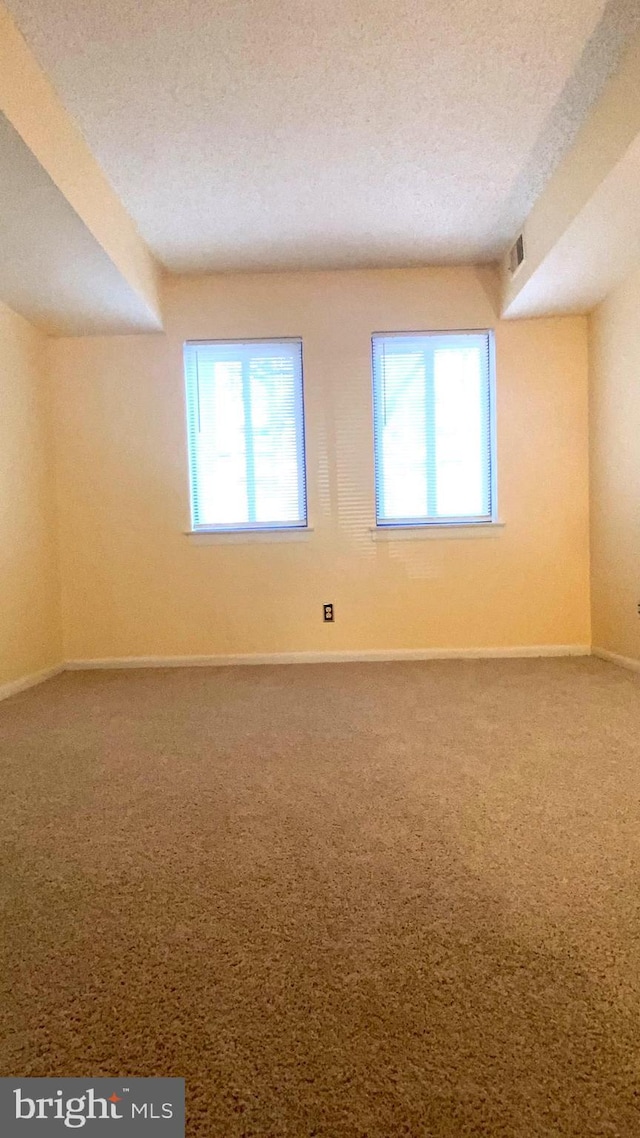 spare room with carpet flooring, a textured ceiling, and a wealth of natural light