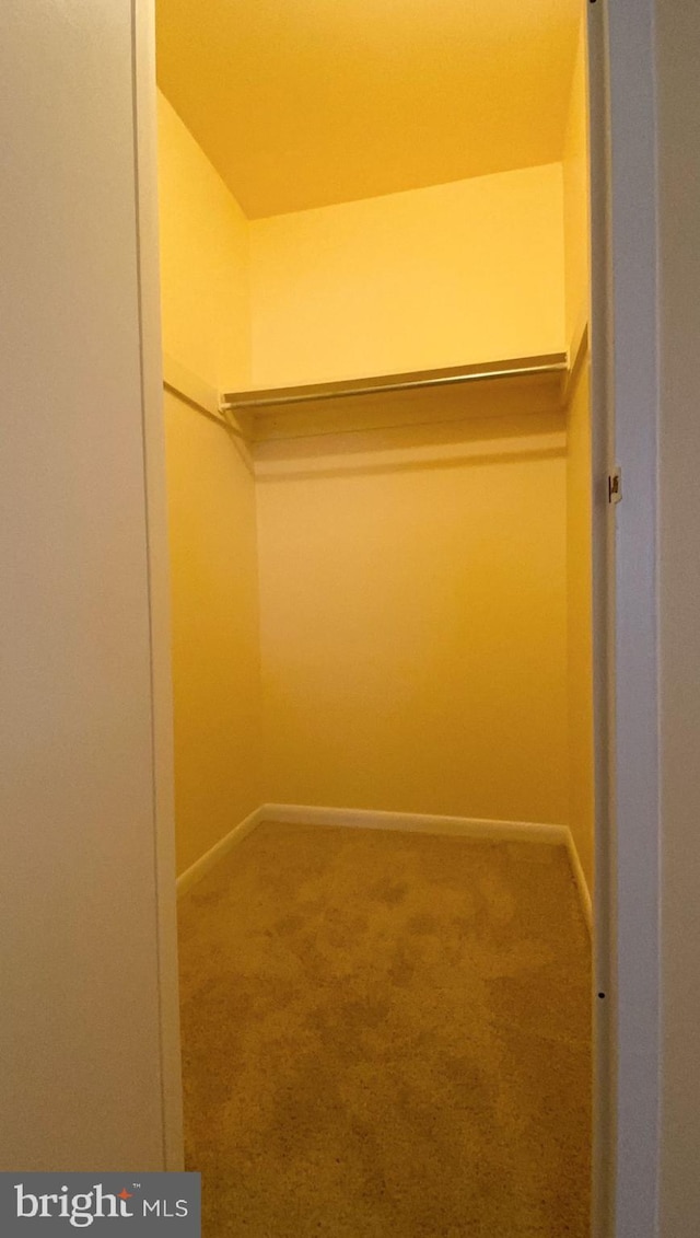 spacious closet with carpet flooring