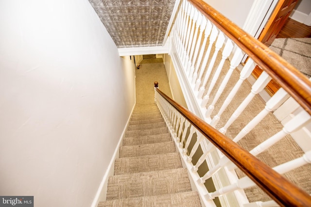 staircase with carpet floors