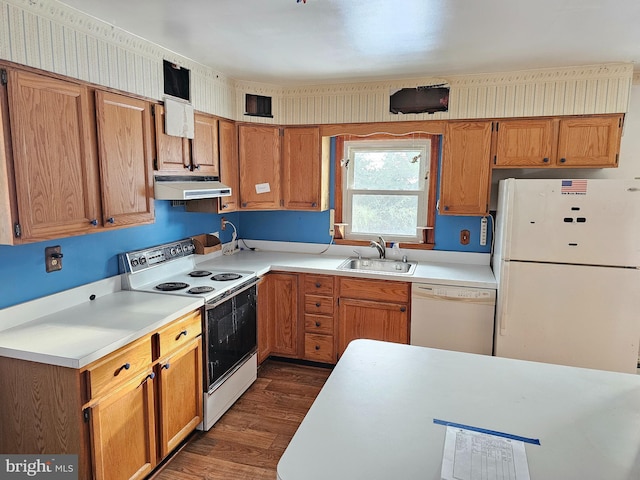 kitchen featuring dark hardwood / wood-style flooring, sink, and white appliances