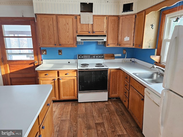 kitchen with white appliances, dark hardwood / wood-style flooring, sink, and a wealth of natural light