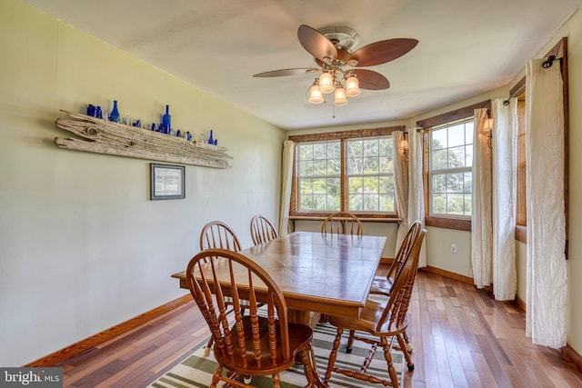 dining room featuring ceiling fan and light hardwood / wood-style flooring