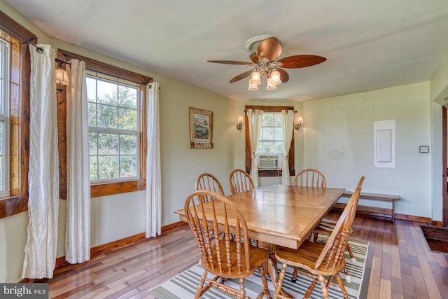 dining area with plenty of natural light, electric panel, and light hardwood / wood-style flooring