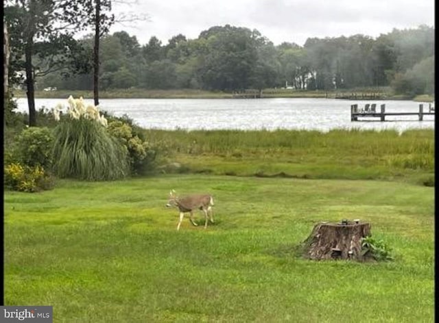 view of home's community featuring a lawn and a water view