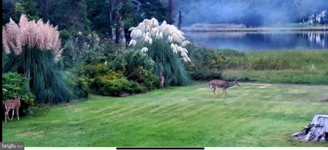 view of yard featuring a water view