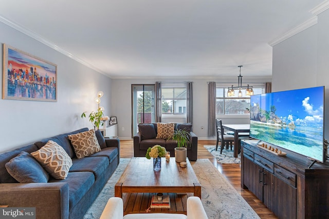 living room featuring an inviting chandelier, wood-type flooring, and ornamental molding