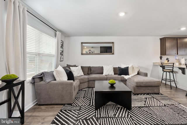 living room featuring dark hardwood / wood-style flooring