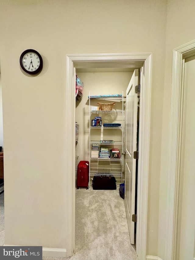 spacious closet featuring light carpet