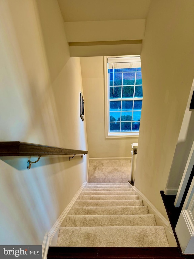 stairway featuring carpet