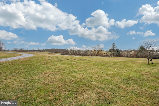 view of yard featuring a rural view