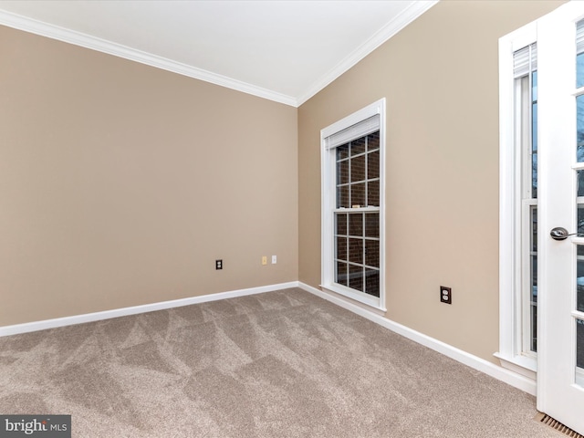 carpeted empty room with crown molding