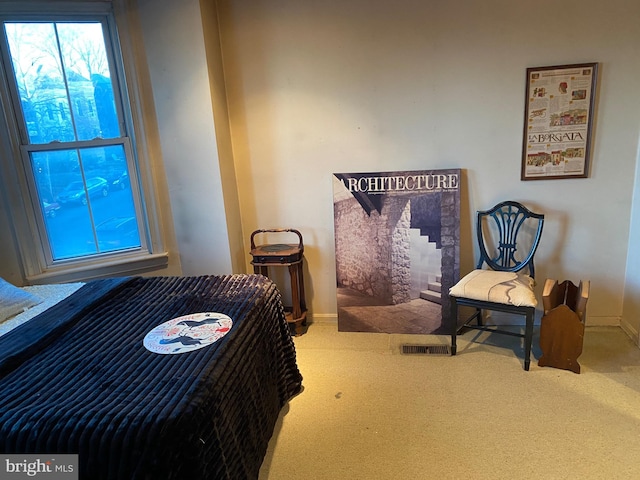 view of carpeted bedroom