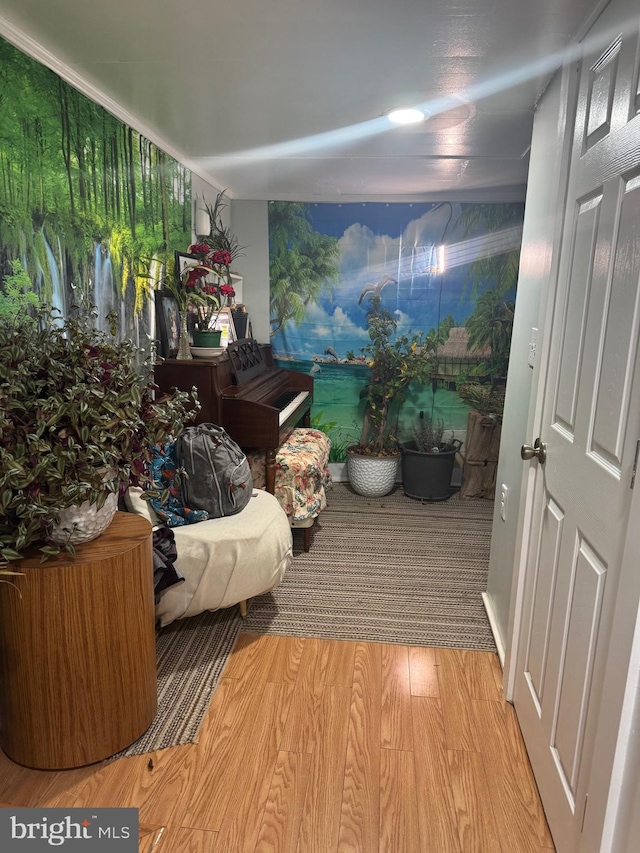 interior space featuring light hardwood / wood-style floors