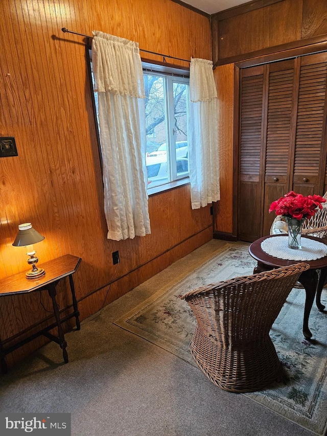 living area featuring carpet and wooden walls