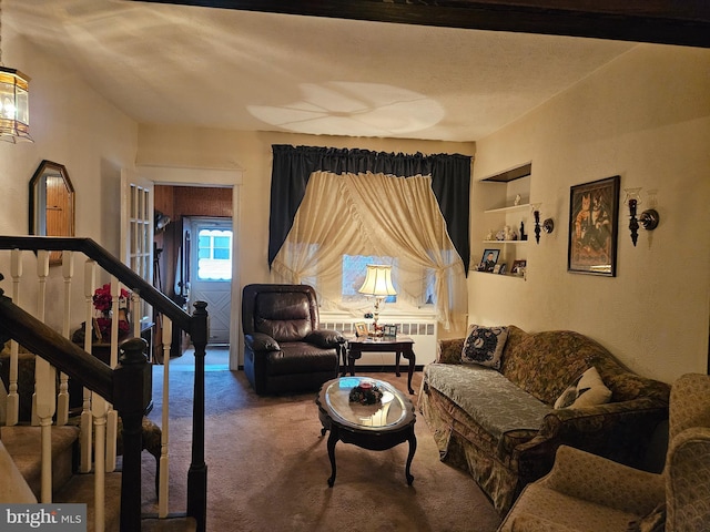 carpeted living room featuring radiator heating unit