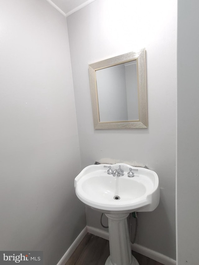 bathroom with hardwood / wood-style floors