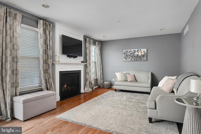 living room featuring a fireplace and light wood-type flooring