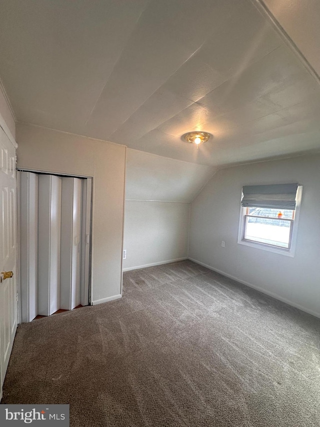 additional living space featuring lofted ceiling and carpet floors