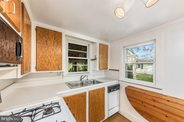 kitchen with white dishwasher, sink, crown molding, and plenty of natural light