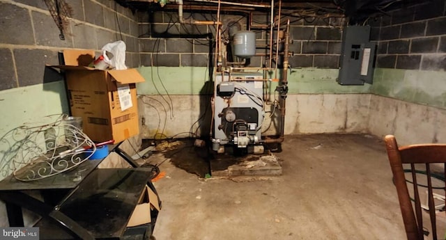 basement with electric panel