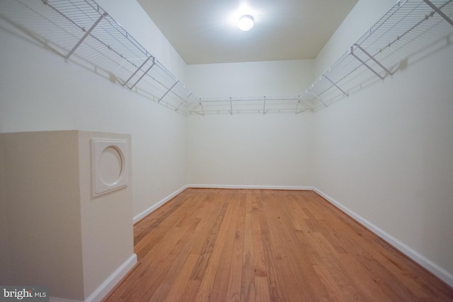 spacious closet with light wood-style flooring