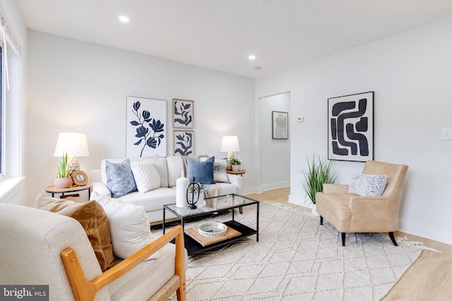 living room featuring light hardwood / wood-style floors