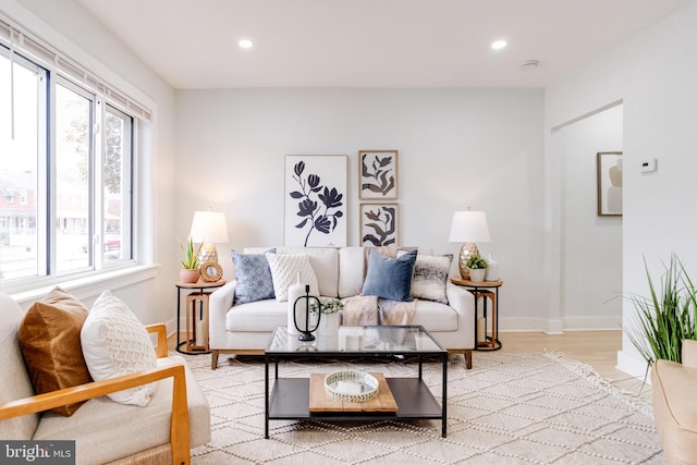 living room featuring light hardwood / wood-style floors