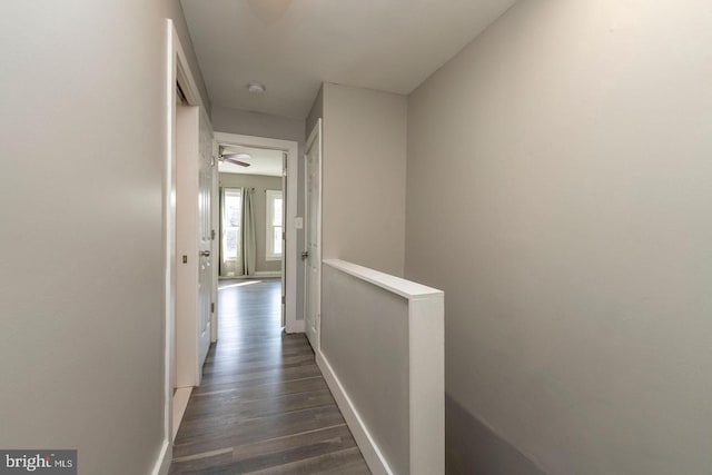 hall featuring dark hardwood / wood-style floors