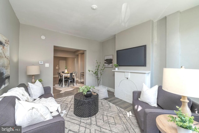 living room with light hardwood / wood-style floors